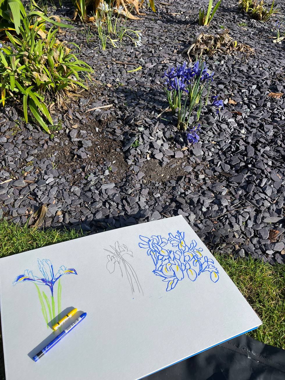 Therapeutic drawing sessions for repeats