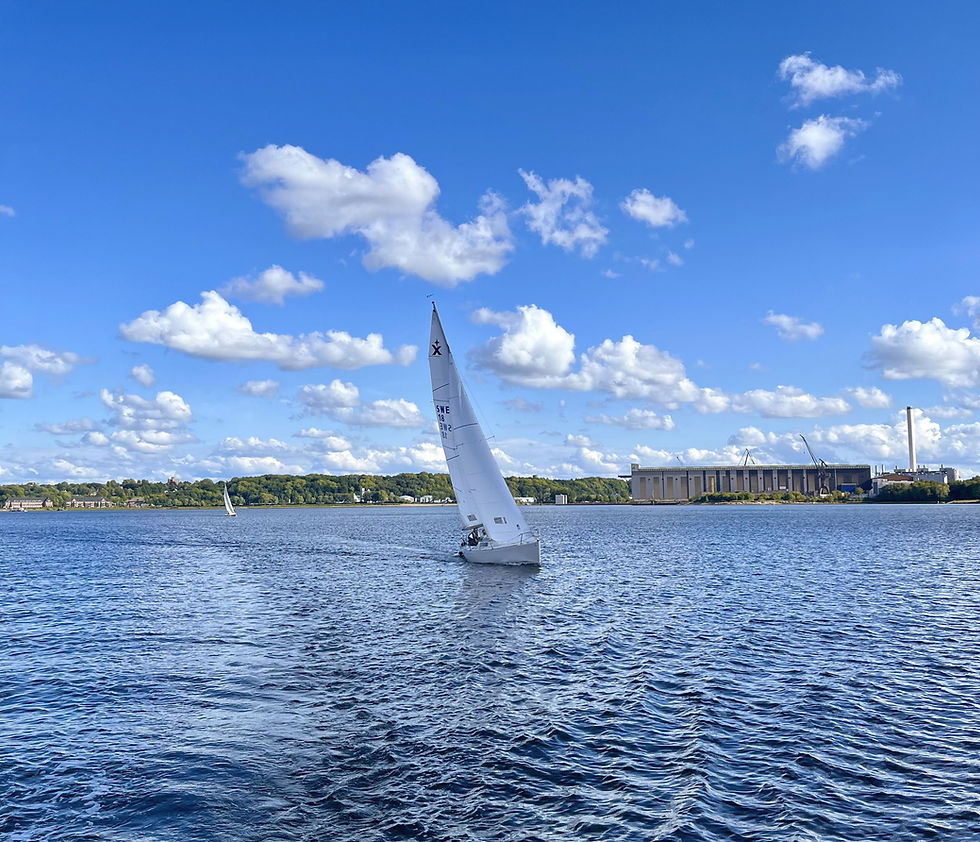WSF_Flensburg_Segelkurse.jpg
