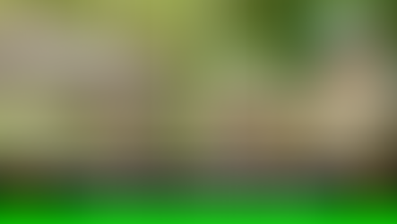 23 especies silvestres fueron liberadas en la Orinoquía.