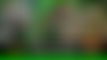 En Villavicencio se reportaron más de 100 animales silvestres afectados por la pólvora