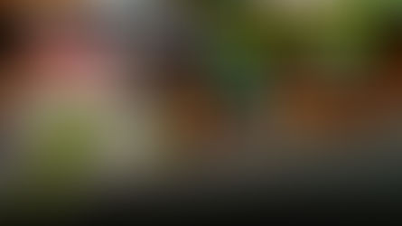 Villavicencio a las Carreras