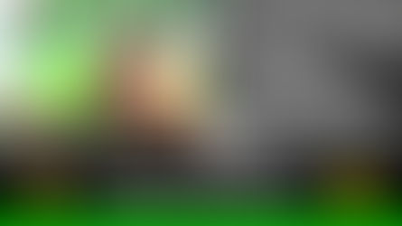 Cámaras trampa captaron familia de Chigüiros en el futuro Parque Metropolitano Alma Viva