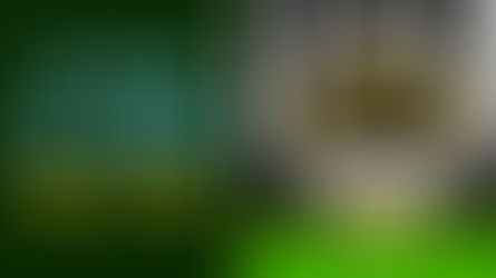 Los 11 de Llaneros F.C.