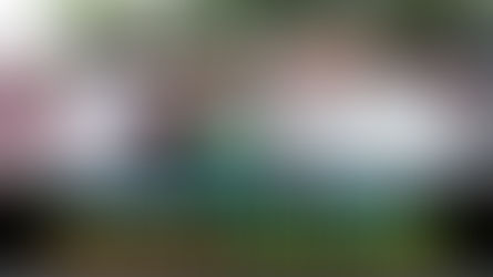 Baile tradicional para despedir al Papa