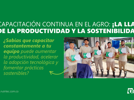 Capacitación Continua en el Sector Agropecuario: ¿Por Qué es Clave para Mejorar la Productividad y la Sostenibilidad?