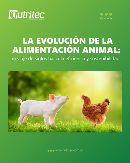 Una mirada histórica a la nutrición animal: de lo básico a lo estratégico