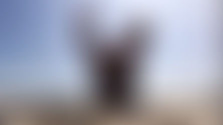 The Science of Why Yoga Makes You Happier