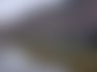 明日3月７日ルアーフライエリアがオープンします。尚、初日の７日は放流は行わず８日より放流します。