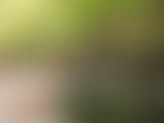 4月24日、昨日の雨はあまり多くはありませんが、若干水量は戻りました。