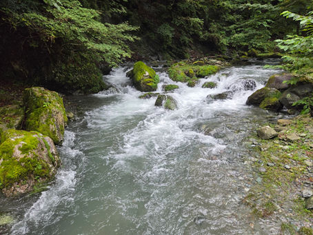 ９月１１日、水量は多いですが落ち着いてきました。
