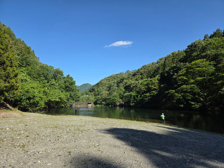 5月29日、全国的に気温が上がっていますが、当店周辺は過ごしやすい気温です。