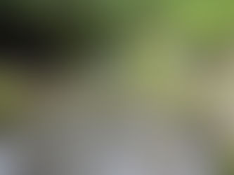 7月24日、猛暑がやってきました。