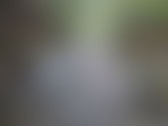 10月2日、ようやく秋晴れな日がやってきました。5日についてのお知らせもあります。