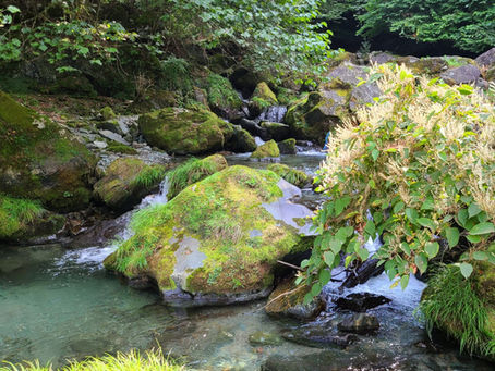 8月29日、朝晩はだいぶ涼しくなりましたが、渇水状態は依然として続いています。