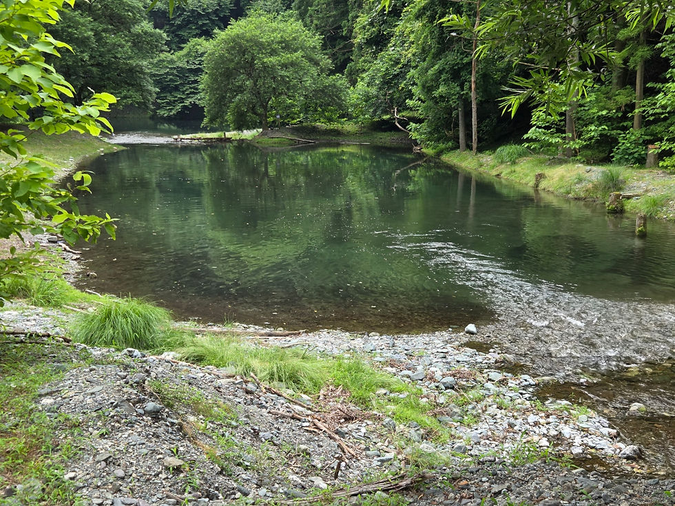 7月10日、もう梅雨が明けたかのような暑さになりました。
