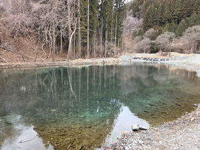 3月13日、寒さが戻っていますが、明日から暖かくなるようです。