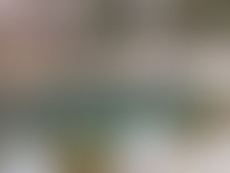 3月13日、寒さが戻っていますが、明日から暖かくなるようです。