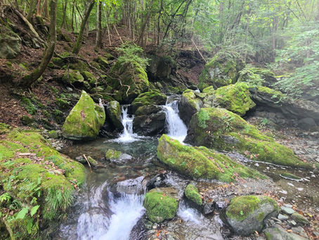 10月3日、一般渓流は禁漁となりましたが、当店ではまだまだ渓流釣りが出来ます。