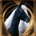 Black llama with long white hair, golden filigree border