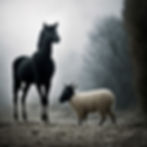 black horse and lamb with horse head in desolate forest and fog