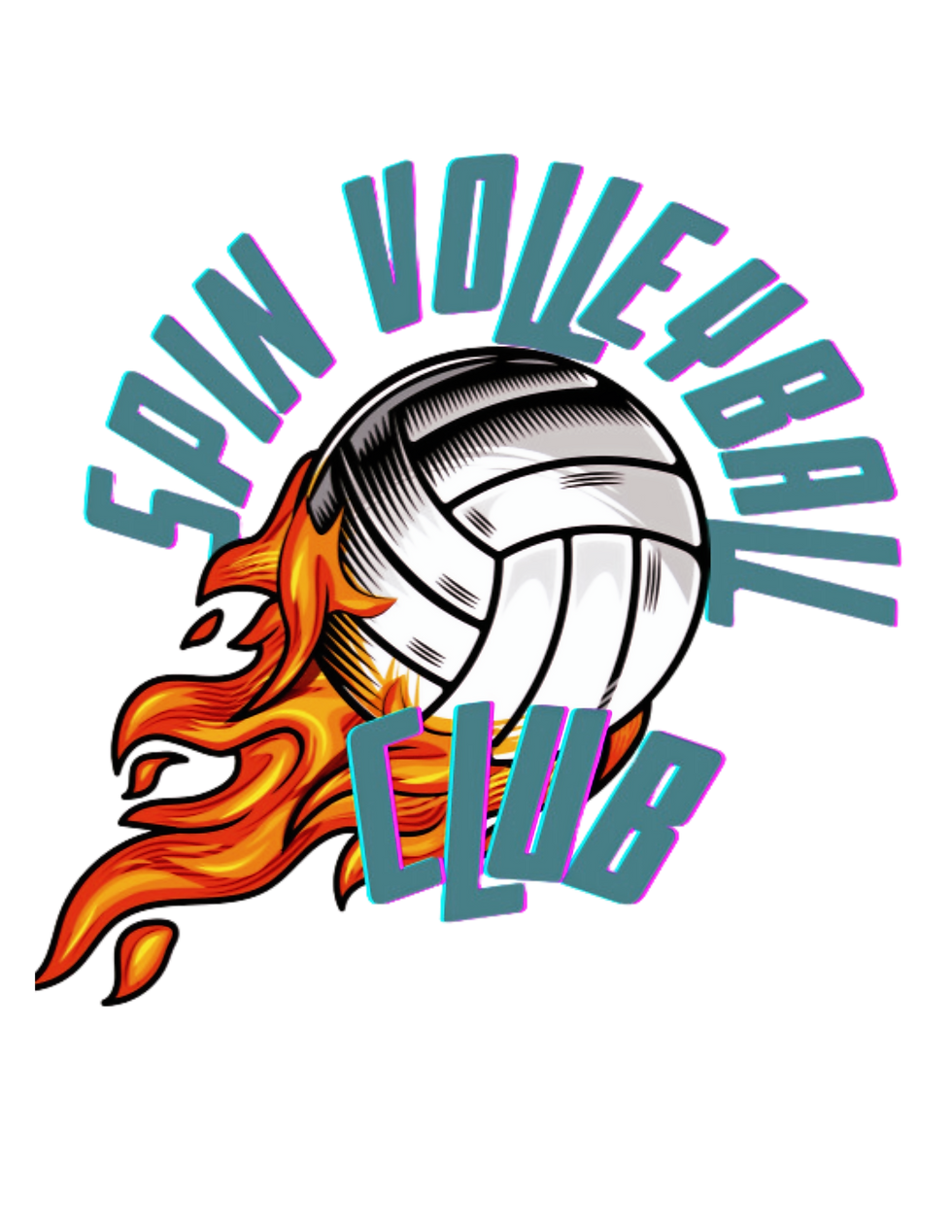 Spin VBALL_edited.png
