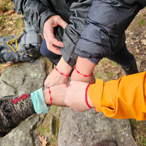 🌿 Thank You for an Incredible Wild Resilience Retreat Season