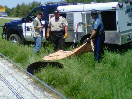 Recollections: Five Months Later and a Bear Encounter