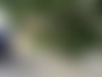Hallan Cuerpo Cerca de Sendero Recreativo en Belleville; Policía Descarta Indicios de Violencia