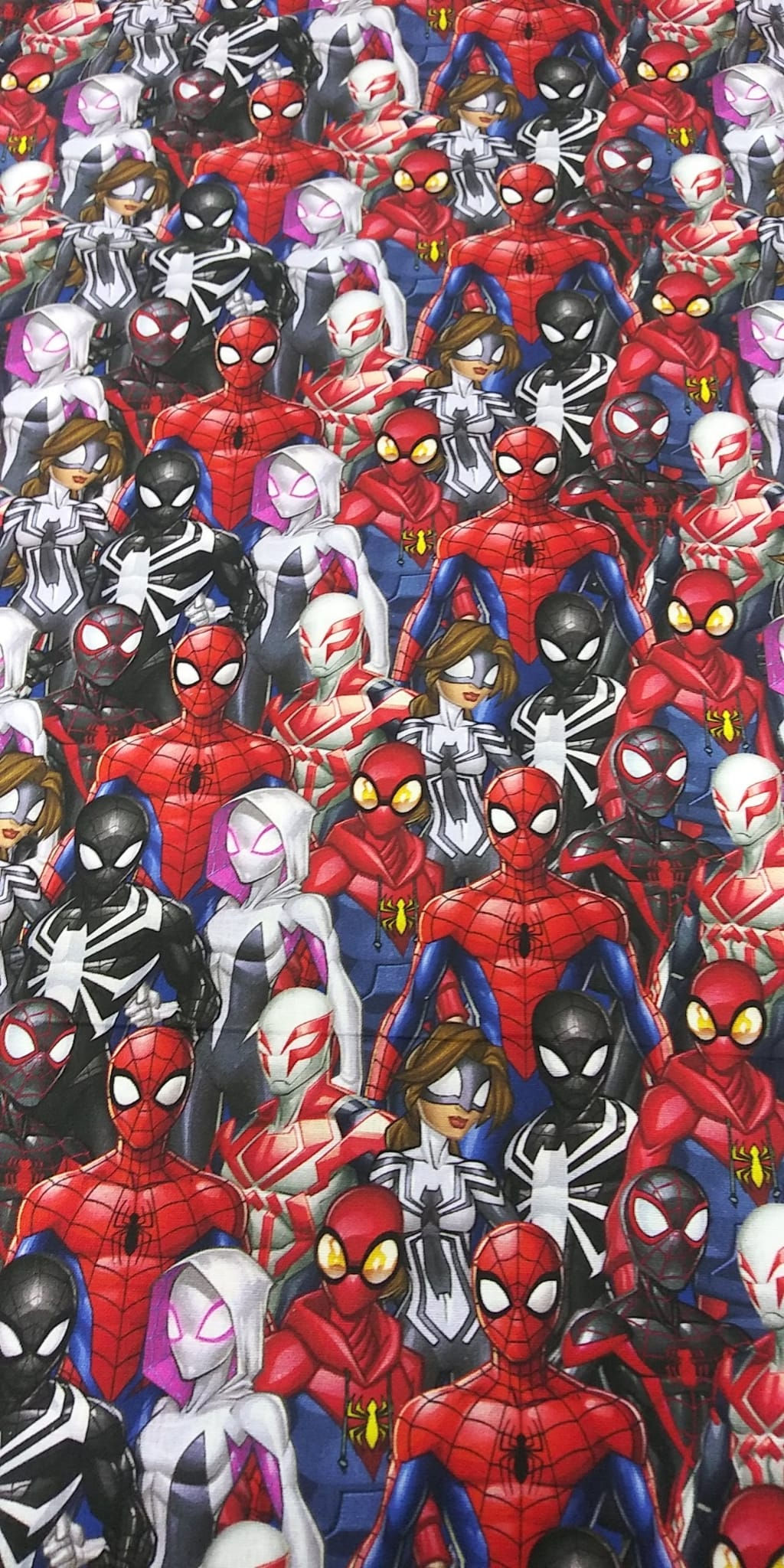 SPIDERMAN AND FRIENDS