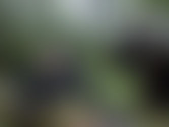 5 ótimos filmes na Netflix. Será que você viu?