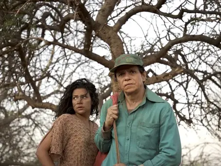 Balanço do CINE PE - e os vencedores