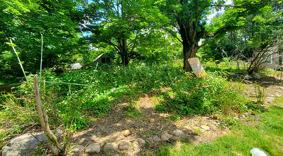 example property land clearing after goats