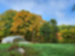 winter housing in fall.jpeg