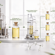 From Citronella Oil to High-Value Natural Aroma Ingredients