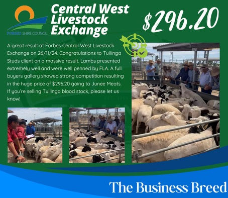 Client Saleyard Success