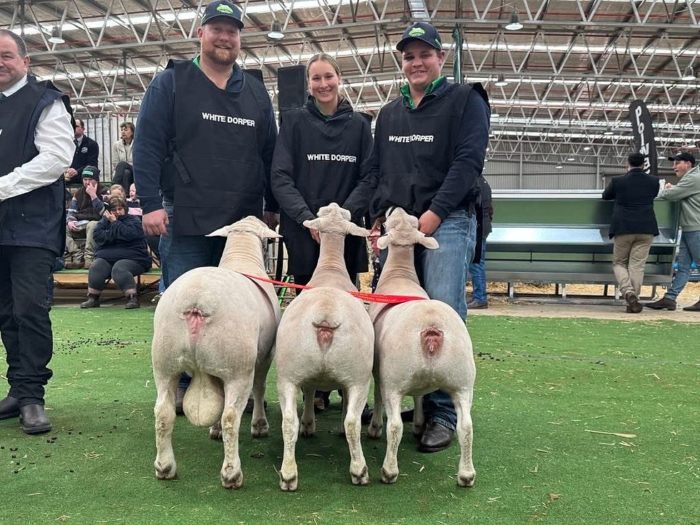 Australian Sheep and Wool Show 2025