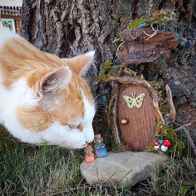 Fairy Doors