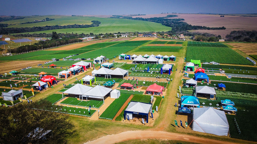 DJI_0506.jpg