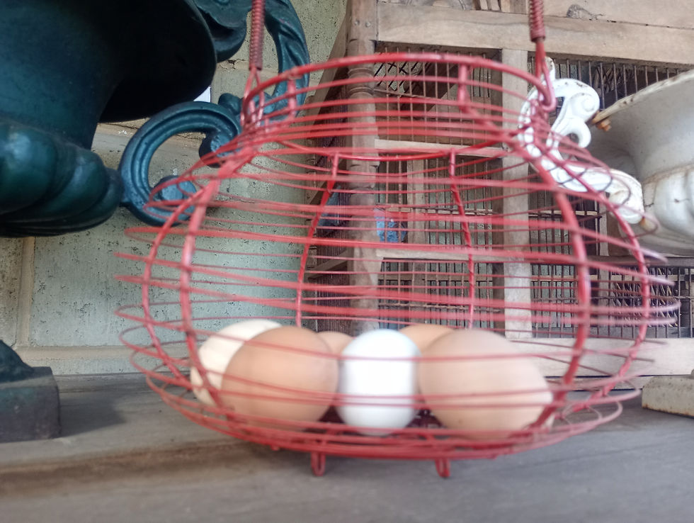 Thumbnail: Antique French  wire  work egg carry basket. Good size. 