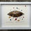 Thumbnail: Beach Find Series - Single form with beads