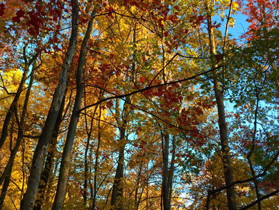 Connections Workshop in the Pocono Mountains of Pennsylvania, Oct 2026