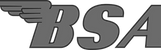 bsa-big_edited.png
