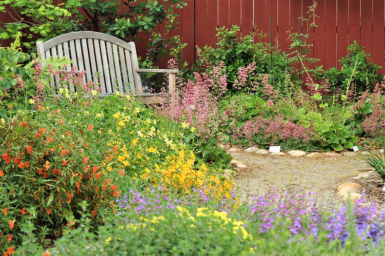 bench garden colors flowers.jpg