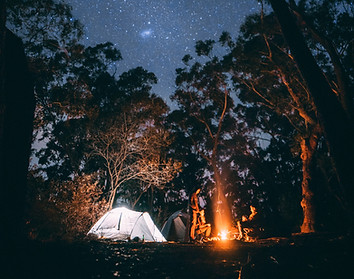 Camping in the Woods