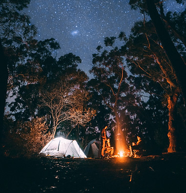 Camping in the Woods