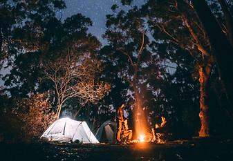 Camping in the Woods