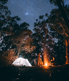 Camping in the Woods