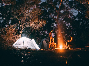 Camping in the Woods