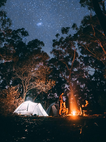 Camping in the Woods