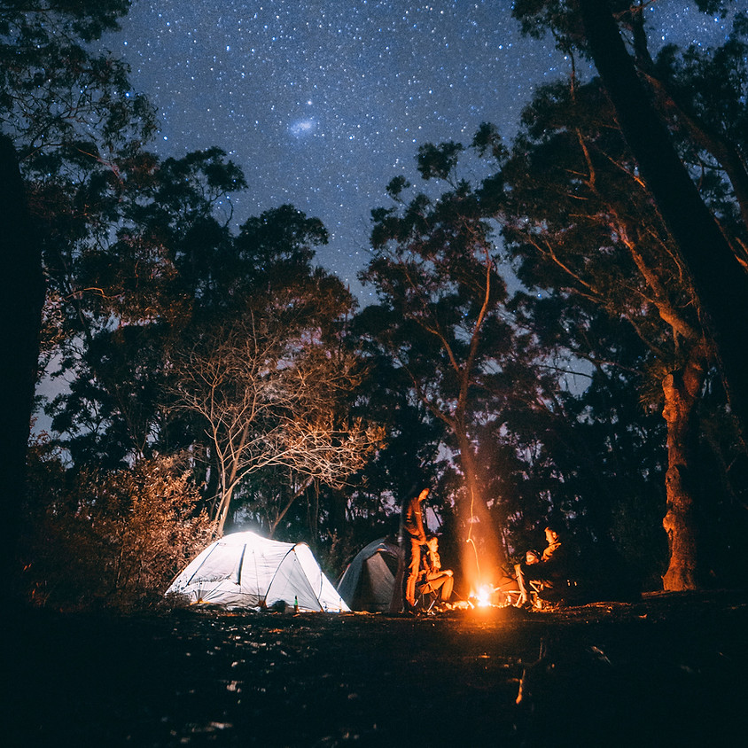 Home on the Range Experience @ Wildflower Farm DATE POST-PONED